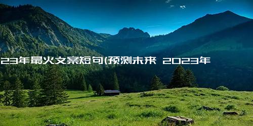 2023年最火文案短句(预测未来 2023年热门文案短语概览)